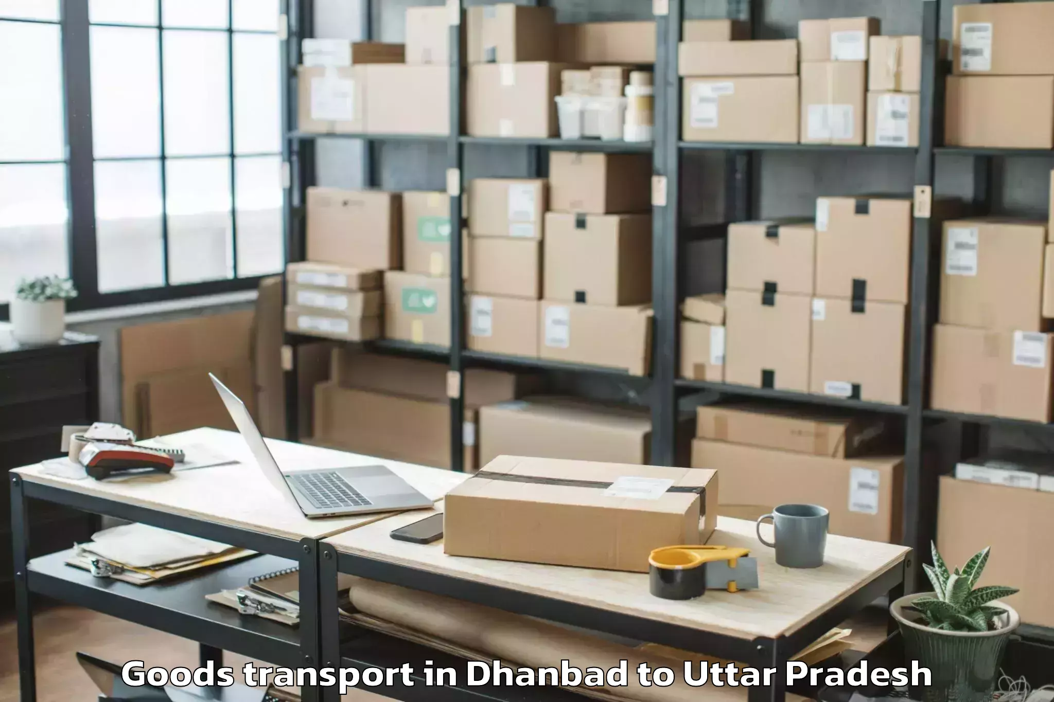 Affordable Dhanbad to Sahaswan Goods Transport